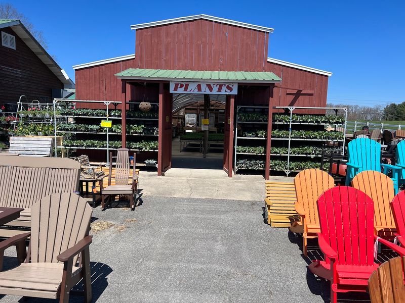 Grandview Country Store