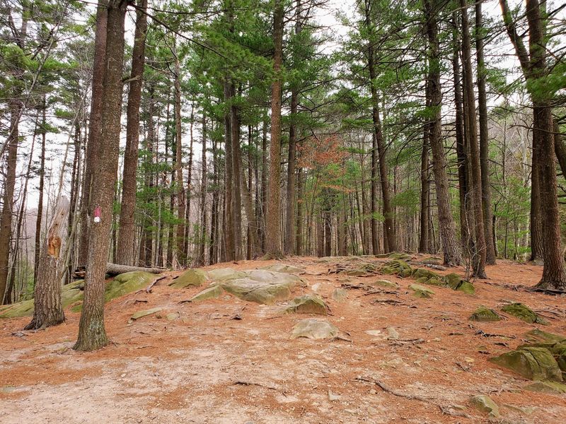 9 Beginner-Friendly Connecticut Hikes With Big Views For Surprisingly Little Effort - Decor Hint West Rock Ridge State Park, Hamden