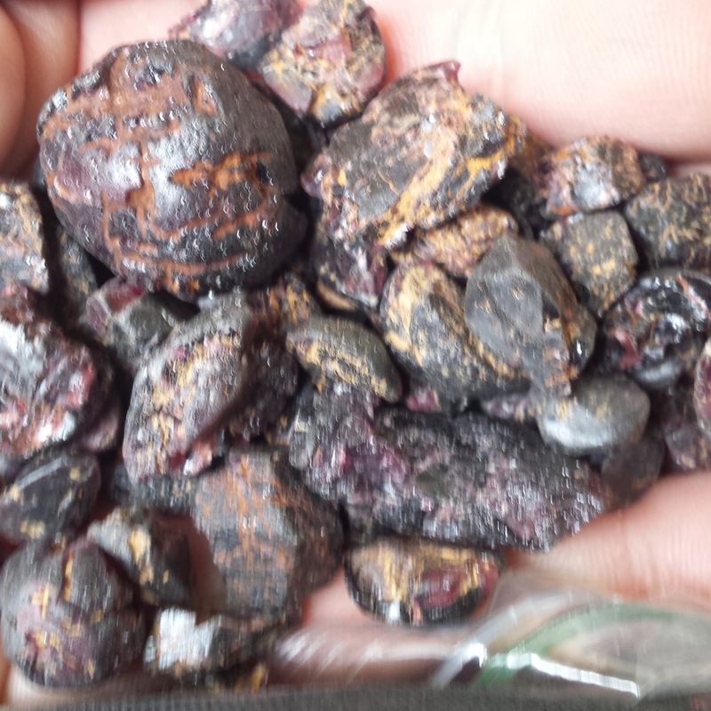Cherry-Sized Surprises In The Bucket