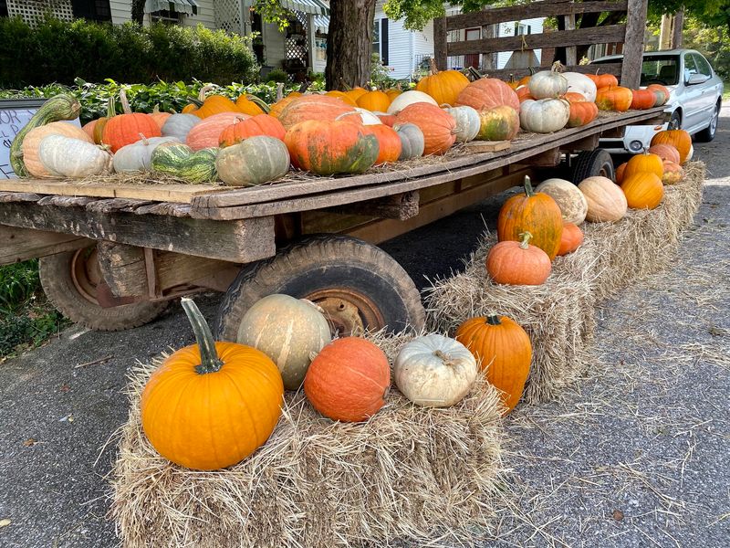 The Fall Festival That Takes Over Main Street