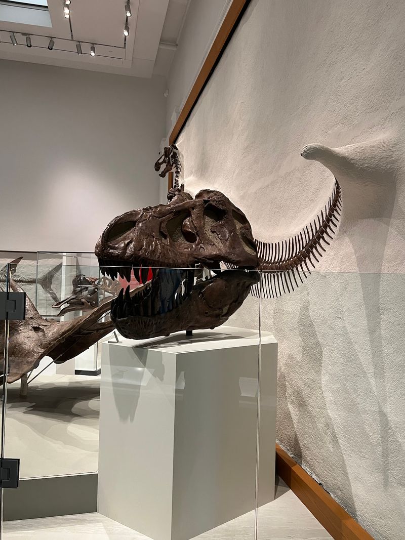 This Connecticut Museum Costs Nothing To Visit But Feels Like A Big-Ticket Attraction - Decor Hint Renovated Spaces Give Old Favorites New Life