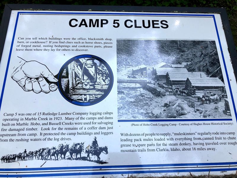 Read The Trail Signs That Bring North Idaho’s Logging Era Back To Life