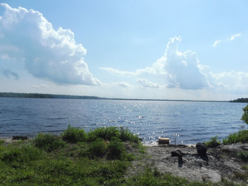 These 12 Free North Carolina Coastal Camping Spots Feel Like Places You Were Never Supposed To Find - Decor Hint Catfish Lake, Croatan National Forest