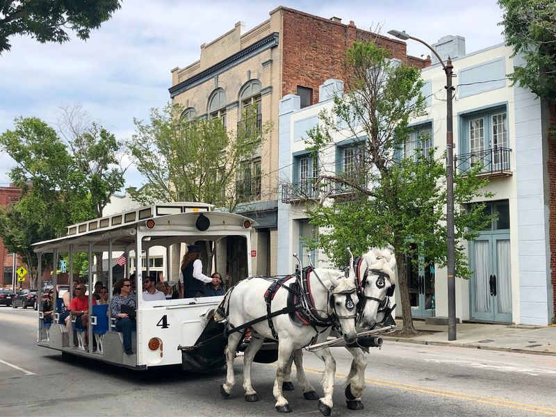 These Horses Get Rest Breaks Before Another Carriage Heads Out