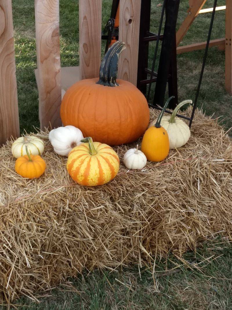 Nebraska's Coziest Fall Tradition Is Hiding In This Barn - Decor Hint Gnomes, Signs And Handmade Finds