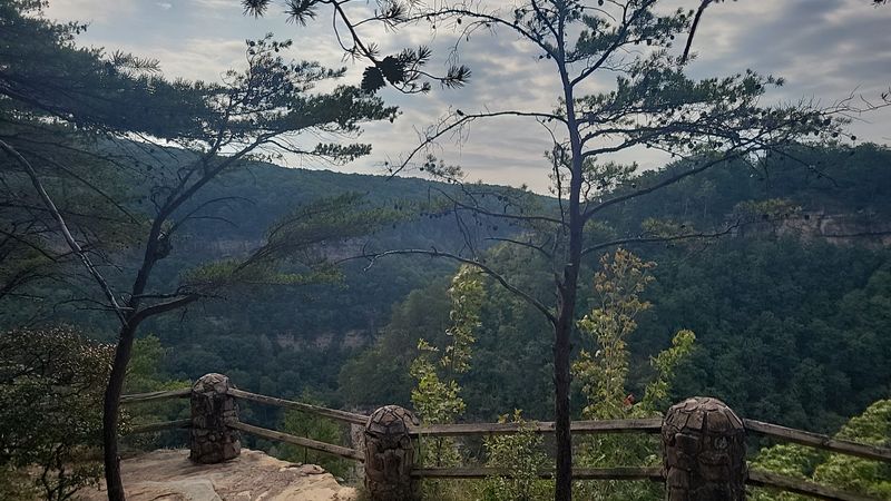 10 Georgia Hiking Trails Where Hikers Should Stay Snake-Aware - Decor Hint West Rim Loop Trail, Cloudland Canyon State Park, Rising Fawn