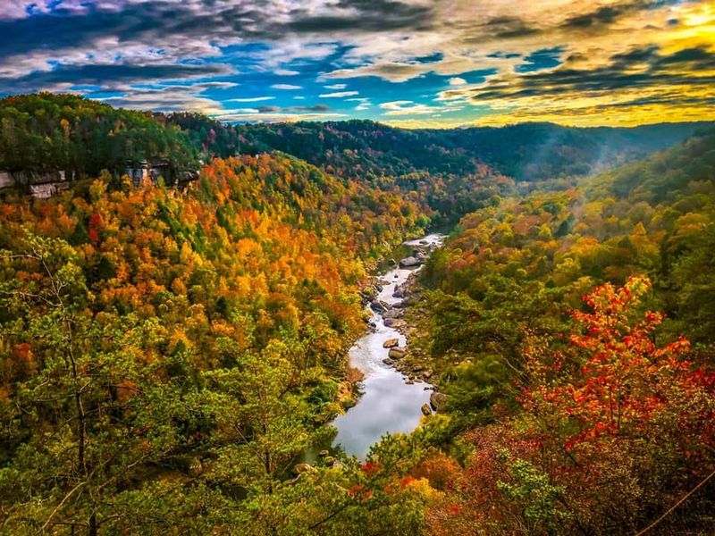 This Stunning Train Ride In Kentucky Is Packed With Fall Foliage And Fun For All Ages - Decor Hint Fall Colors That Steal The Show