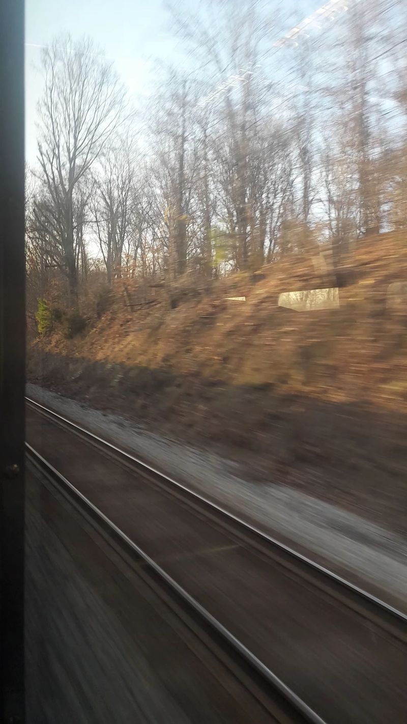 Wide Windows Let The Piedmont Scenery Do Most Of The Entertaining