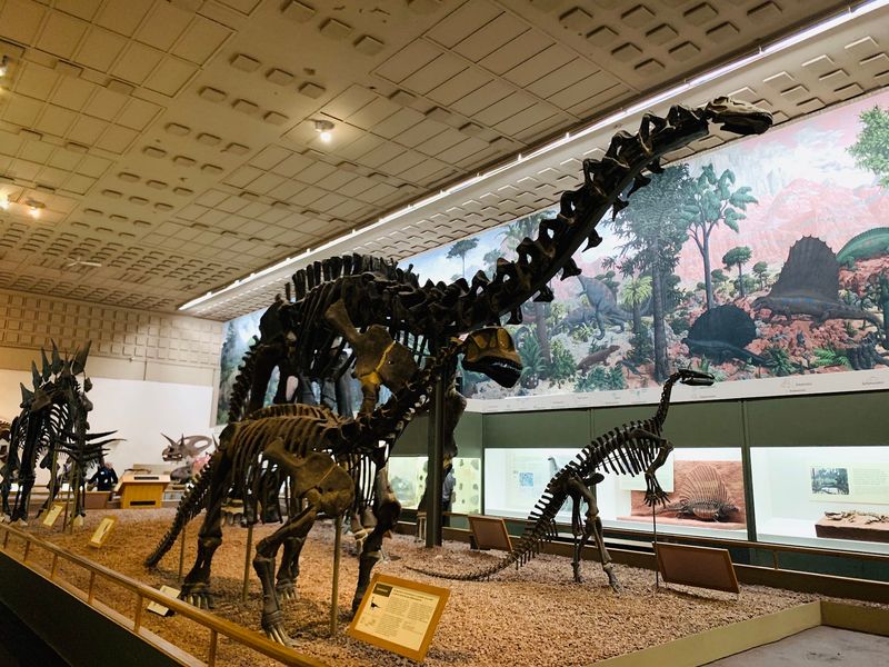 This Connecticut Museum Costs Nothing To Visit But Feels Like A Big-Ticket Attraction - Decor Hint Dinosaurs Remain The Undisputed Showstoppers