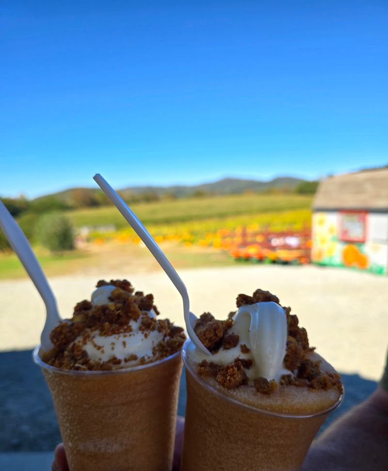 This North Carolina Apple Orchard Goes All Out For Fall With Pumpkins, Hot Donuts And Fresh Cider - Decor Hint Caramel Apples, Pies And Cider Slushies Make The Bakery Hard To Leave