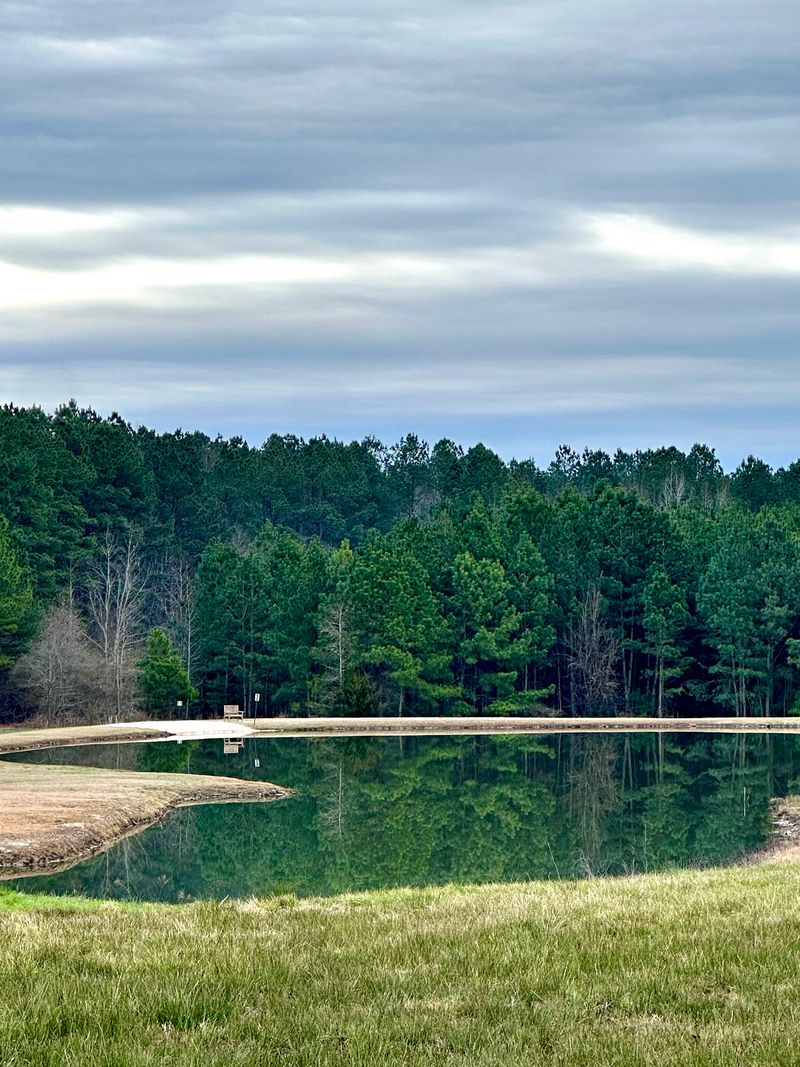 A Nature Trail Slips Straight Into The Trees Beyond The RV Sites