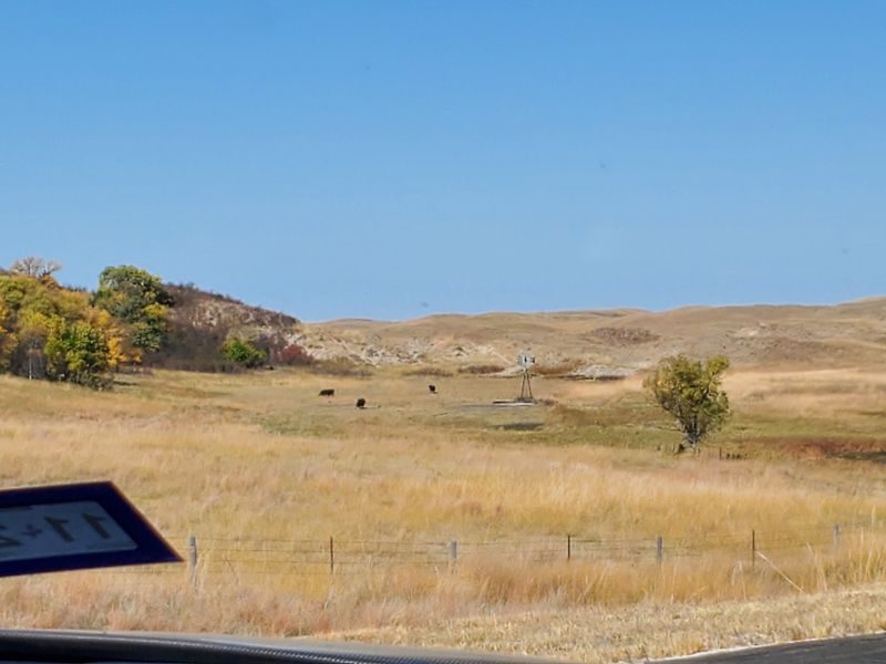 Grouse Dancing Grounds and Spring Blinds