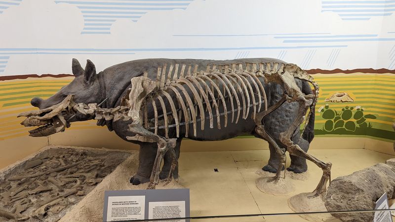Ice Age Nebraska, Reassembled