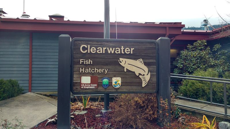 Clearwater Main Fish Hatchery, Ahsahka, ID