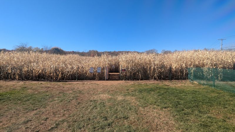 This Massive Connecticut Corn Maze Is Open For Fall And Getting Lost Is Half The Fun - Decor Hint Hidden Challenges Make Exploring More Fun