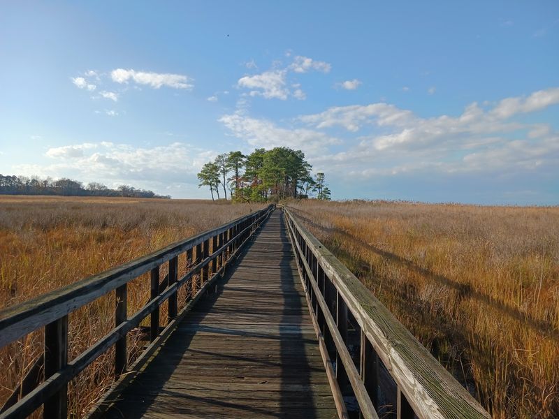 Trails That Treat Your Feet Kindly
