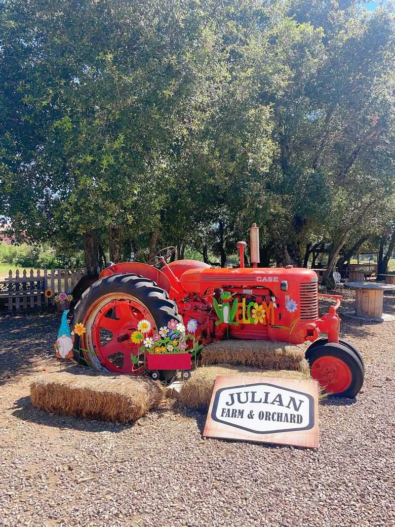 10 California Apple Orchards To Visit As Picking Season Gets Underway - Decor Hint Julian Farm and Orchard, Julian