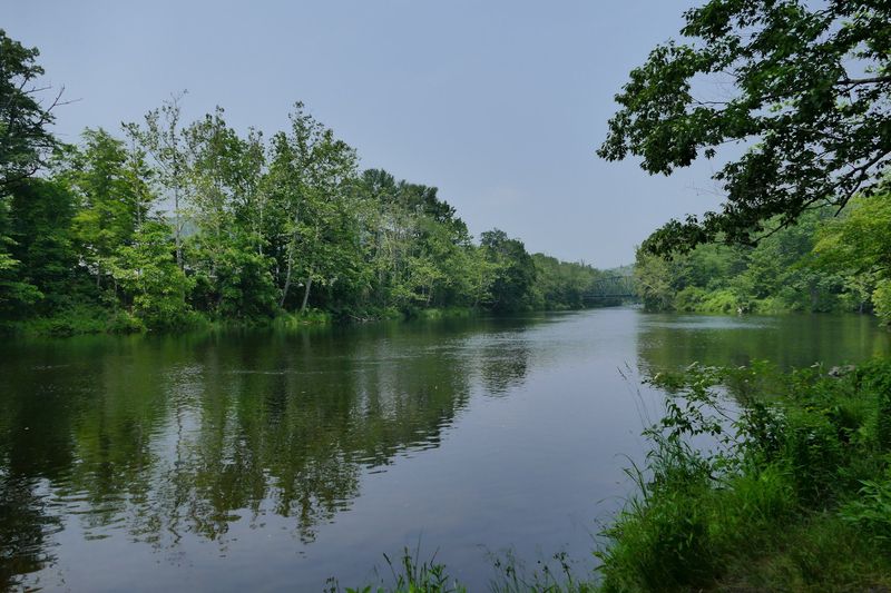 The Farmington River Winds Alongside The Woods