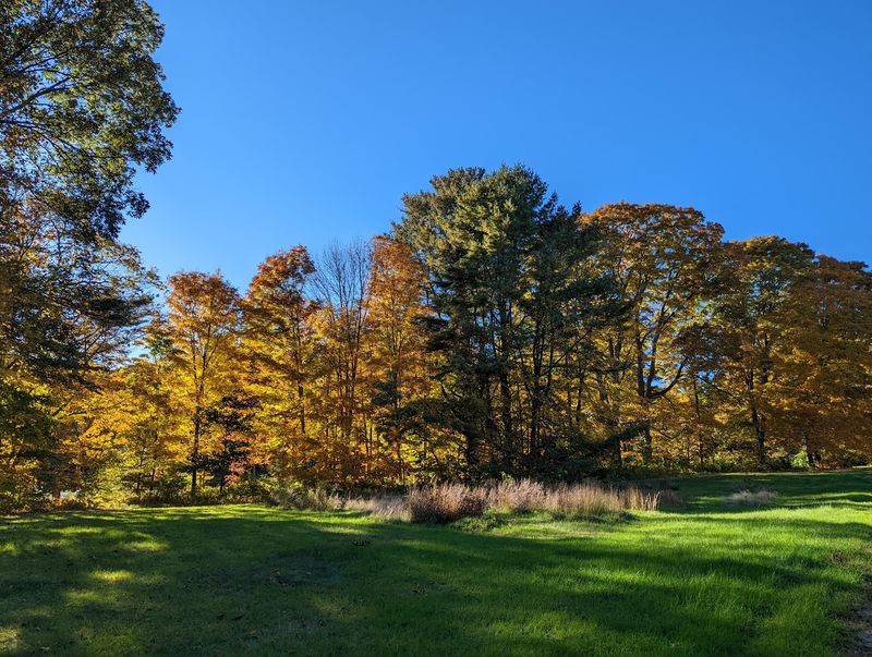 Natchaug River Adds Water And Wildlife