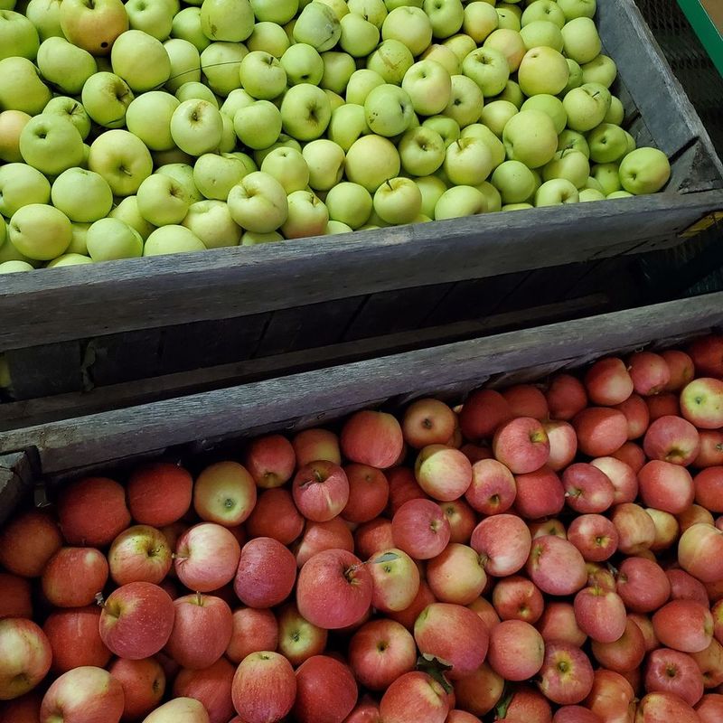 Mulberry Orchard