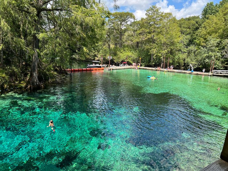 Eleven Florida State Parks Where the Swimming Holes Stay 11 Degrees All Year - Decor Hint Fanning Springs on the Suwannee