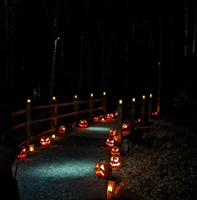 A Connecticut Farm Transforms Into A Massive Haunted Hayride And Terrifying Woodland Trail Every October - Decor Hint The Walking Trail Sends Visitors Into The Woods