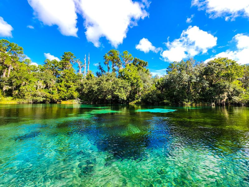 Eleven Florida State Parks Where the Swimming Holes Stay 11 Degrees All Year - Decor Hint Rainbow Springs State Park