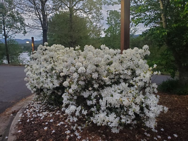 Hiawassee, Towns County