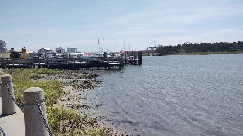 10 North Carolina Coastal Spots Where You Could Encounter The Mysterious Blue Land Crab - Decor Hint Morehead City