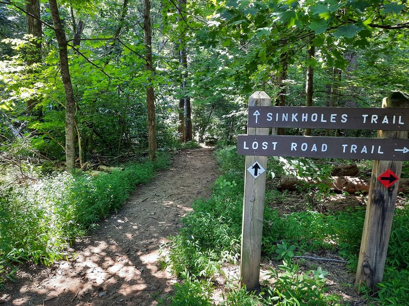 Point Lookout Trail At Panther Creek State Park, Morristown