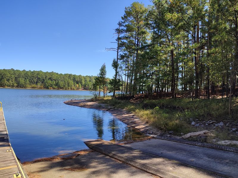 Discover The Wildlife That Shares This Huge Recreation Area