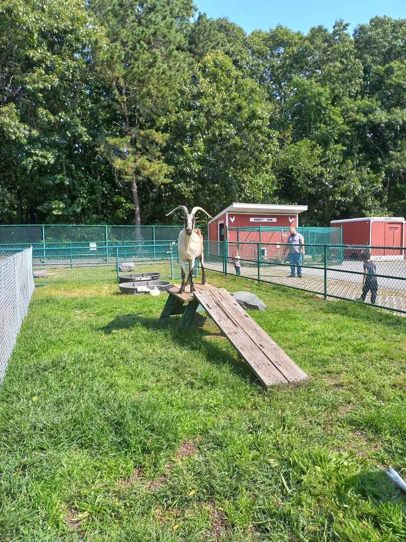 Make Room For Play