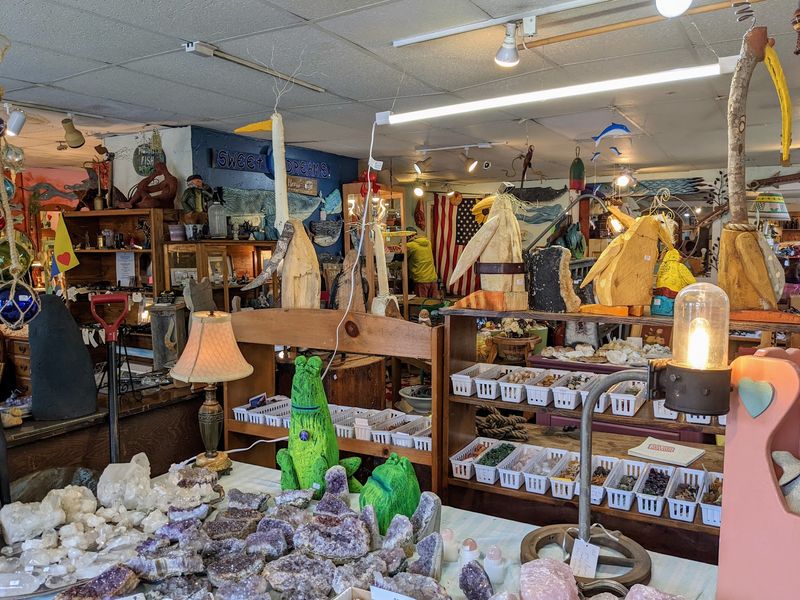 Fossils And Crystals Hide Among The Antiques
