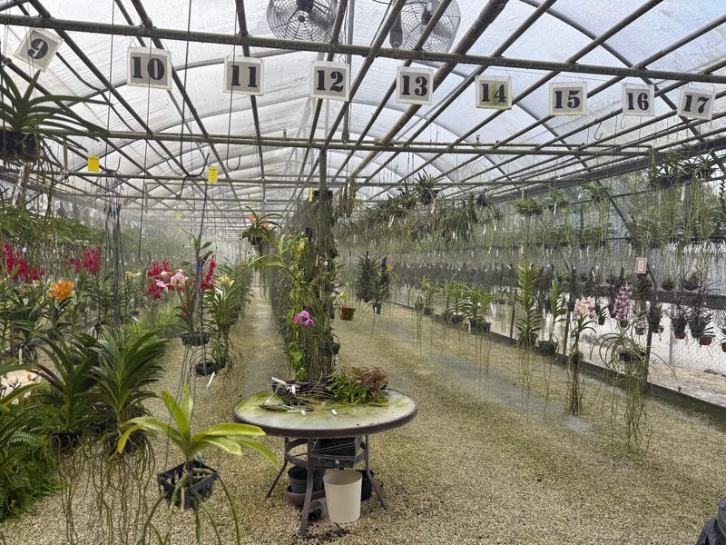 R F Orchids, Homestead