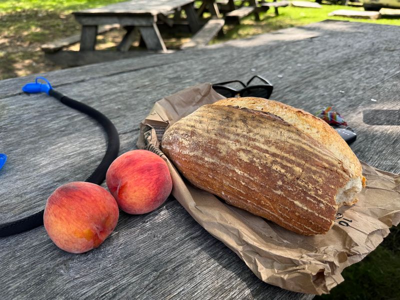 Fresh Bread Comes Out Daily