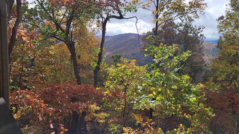Head Toward Pisgah National Forest For A Rain-Fed Adventure