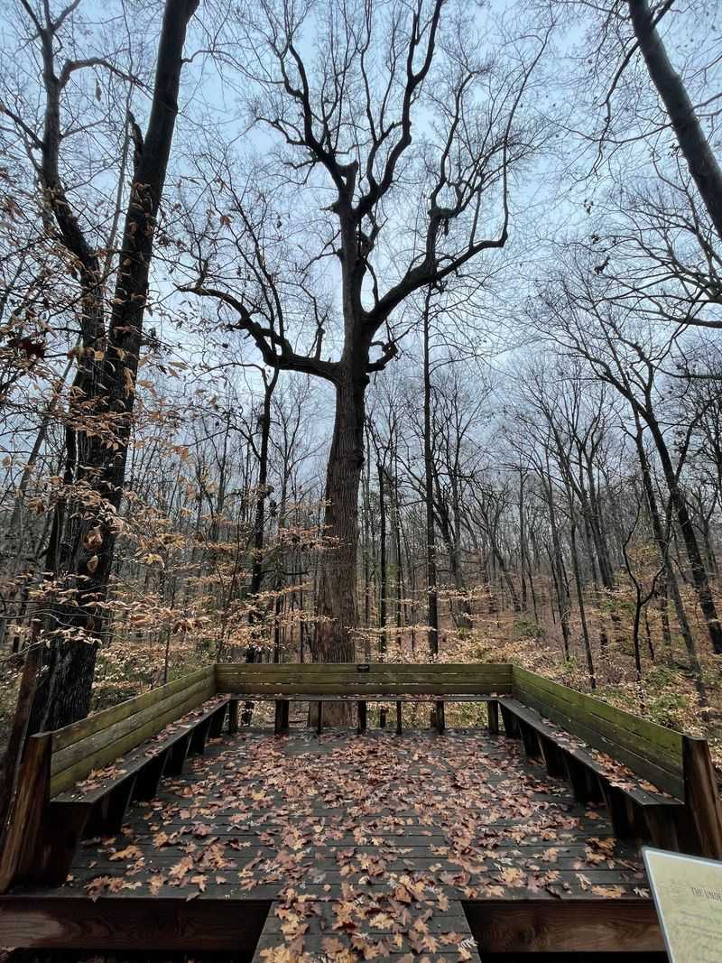 Explore 11 Historic Underground Railroad Sites Across North Carolina - Decor Hint Guilford College Woods
