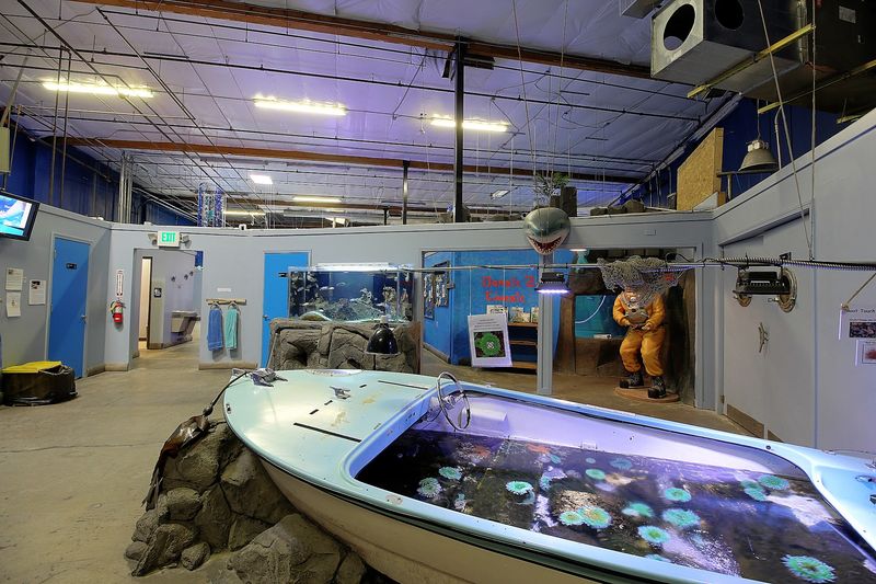 See How Much Wildlife Fits Inside A 10,000-Square-Foot Aquarium