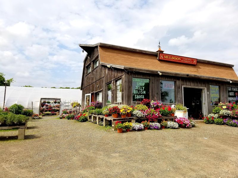 Farmers Market Sundays Add Local Flavor