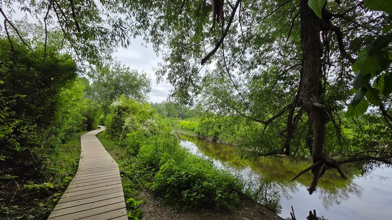 Big Nature Fits Into One Short Adventure