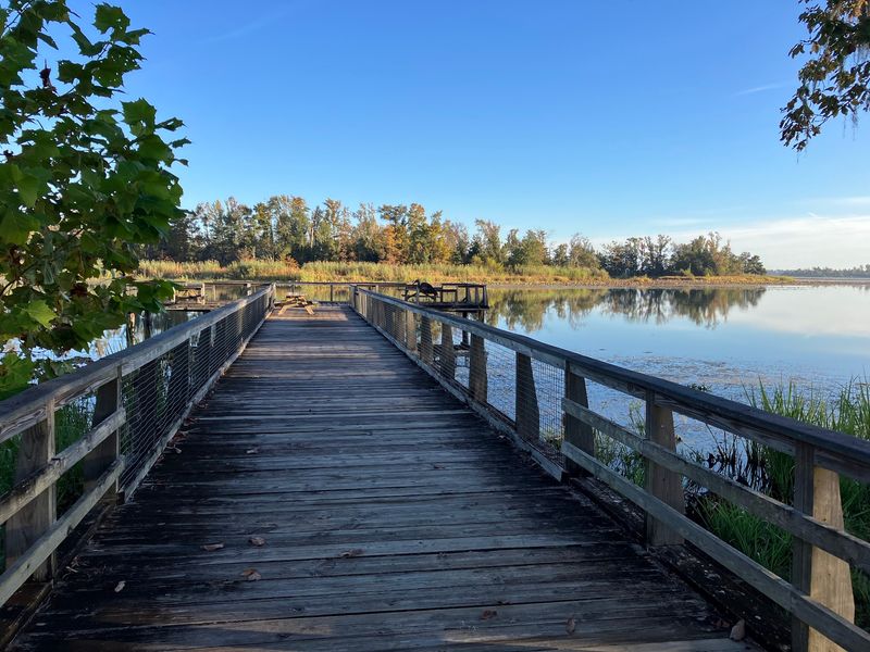 11 Florida Campgrounds So Well Secluded Even Most Residents Miss Them - Decor Hint Three Rivers State Park, Sneads