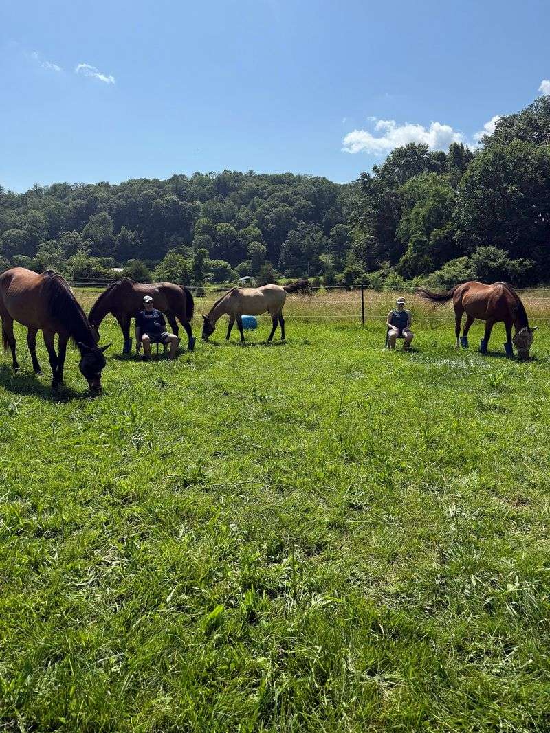 A Mile-Long Trail And Mountain Views Make The Farm Part Of The Escape