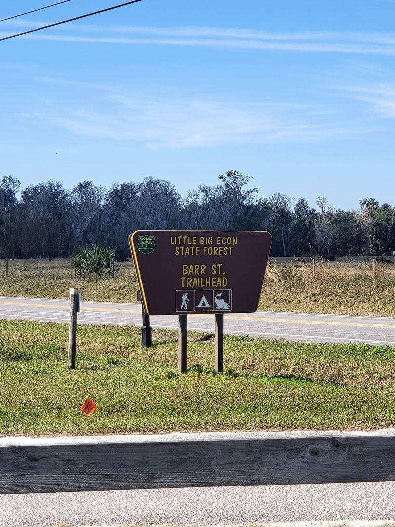 Family Adventure Awaits Along Florida'S Easy Lockwood To Barr Waterfall Trail - Decor Hint Where The Forest Begins