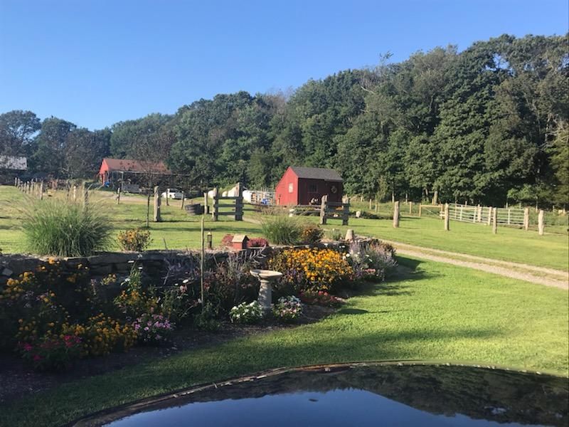 Mattern Road Leads Into The Quiet Countryside