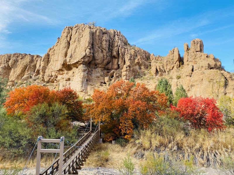 This Hidden Arizona Arboretum Packs 323 Acres With Desert Trails And Incredible Scenery - Decor Hint Seasons That Paint The Desert