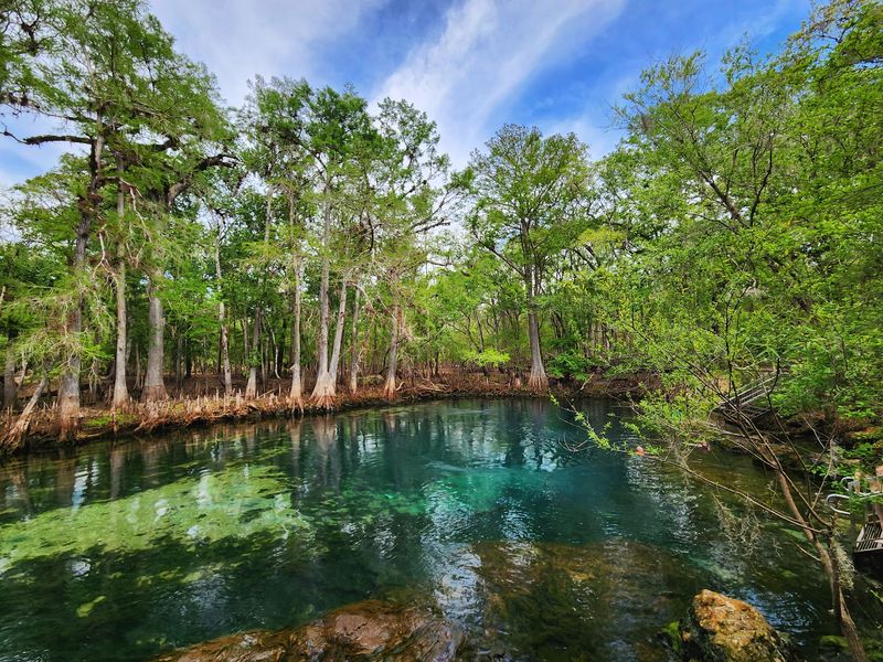 Eleven Florida State Parks Where the Swimming Holes Stay 11 Degrees All Year - Decor Hint Manatee Springs State Park