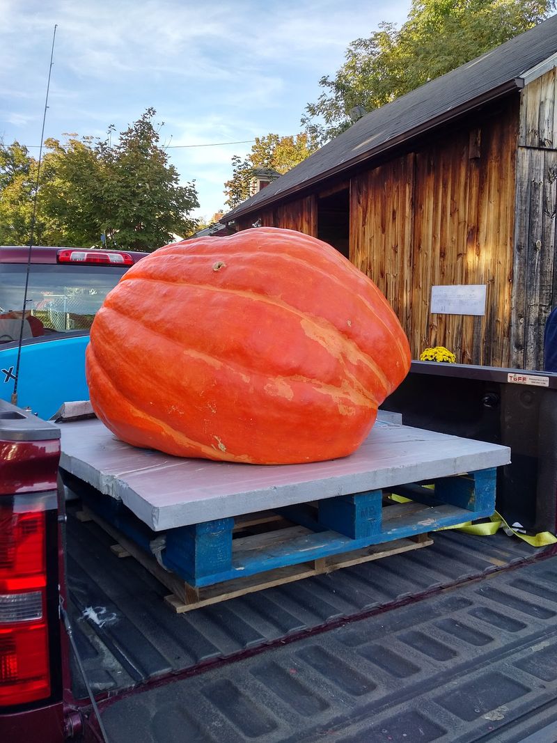 Local Competitions Add Plenty Of Small-Town Character