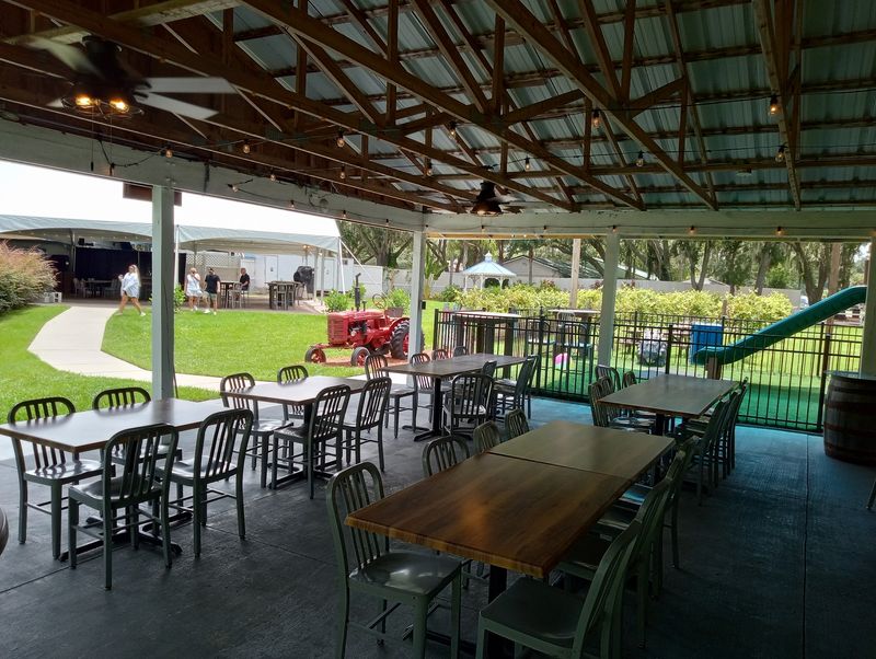 Live Music on a Relaxed Florida Afternoon