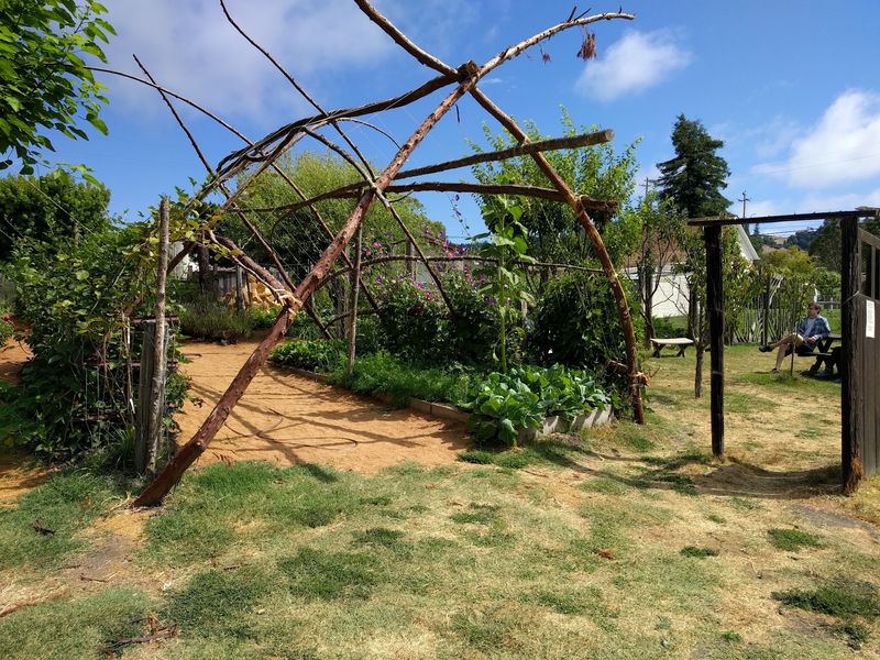 A Garden Tucked Behind The Bakery