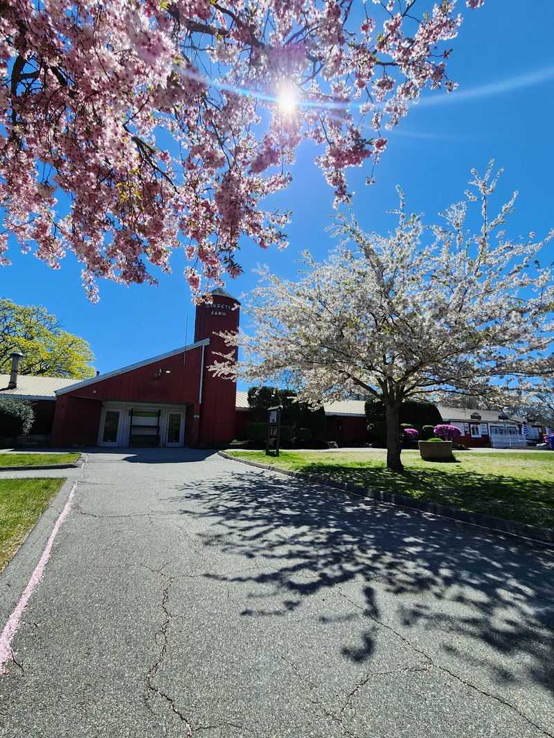Look Back At Farm History